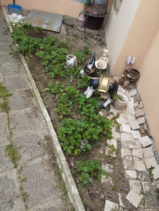 Продава се Къща в с. Горица, Област Бургас - 140 кв.м за 608 €/кв.м - Снимка #4