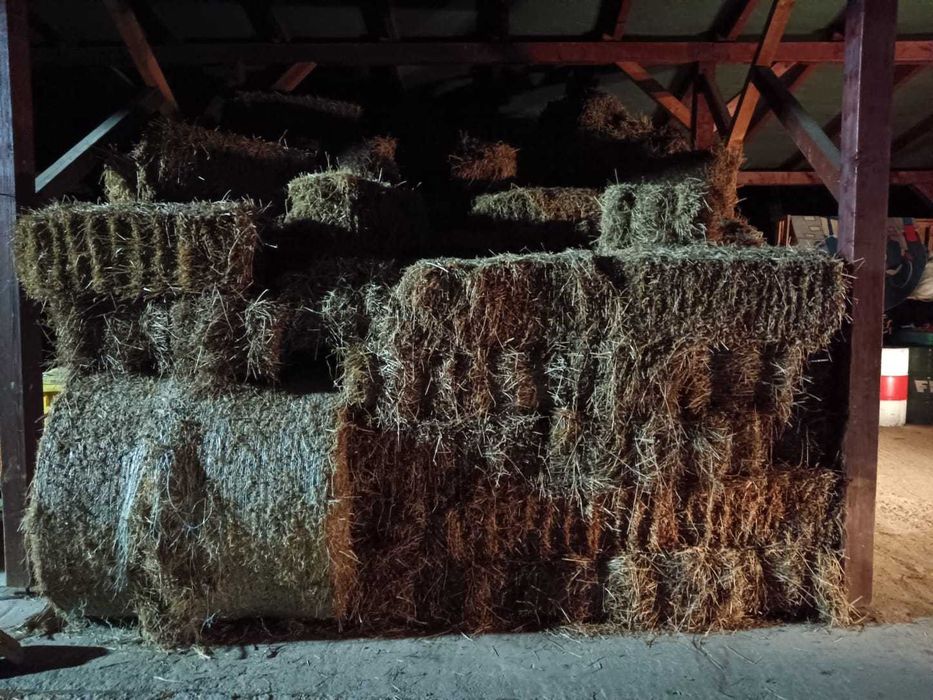 Vand baloti lucerna si fan