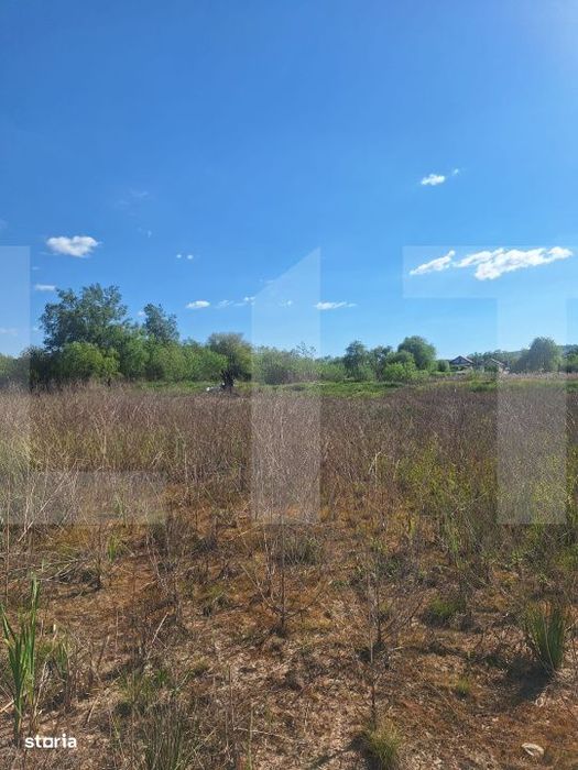 Teren de vanzare 1.600 mp cu deschidere la lac – zona Lacul Surduc