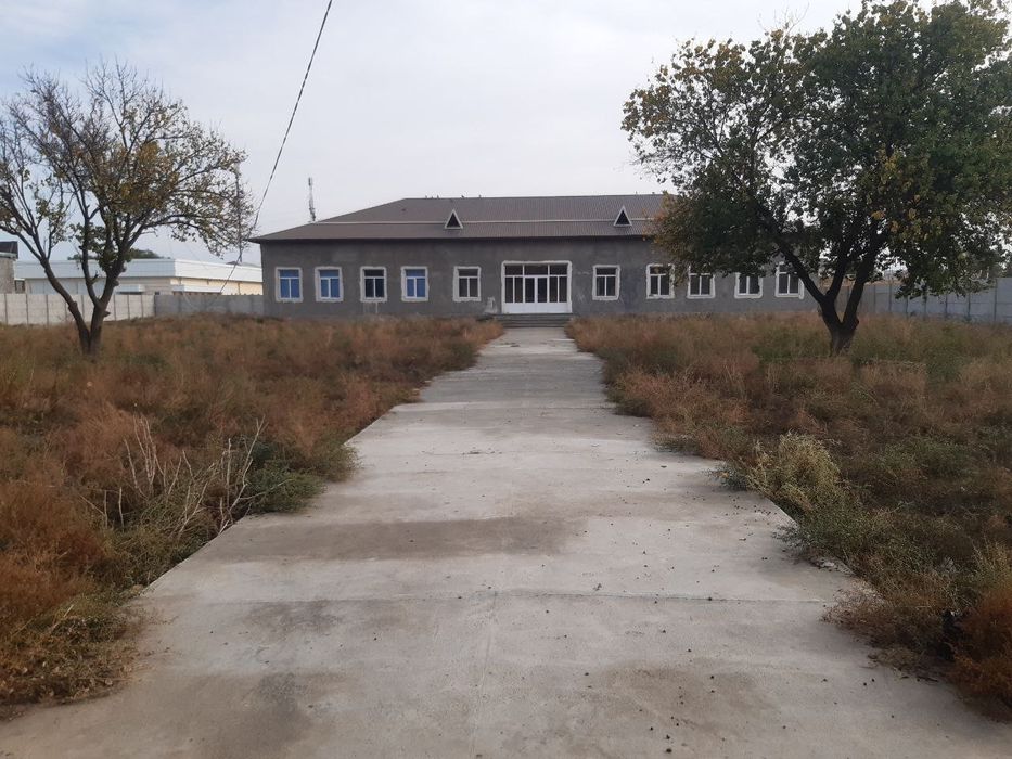 Noturar joy SOTILADI