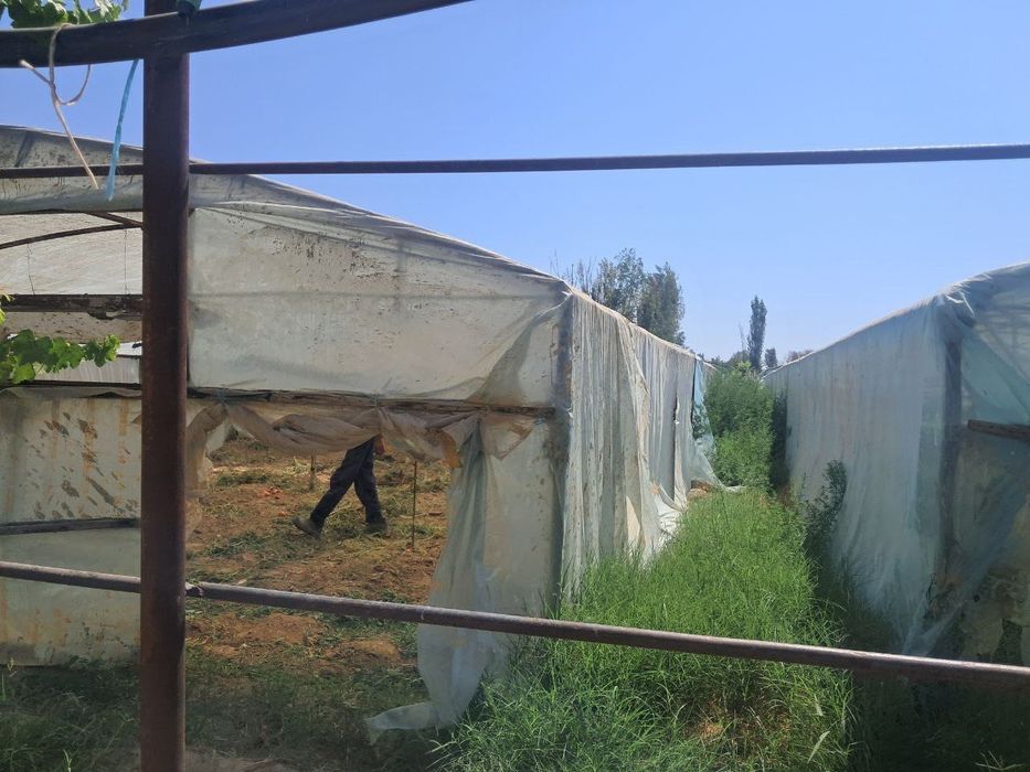 Янгиюл тумани ферма сотилади