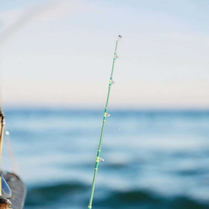 Въдица за тролинг (влачене и кльонк) Tica Wasabi (различни модели) .