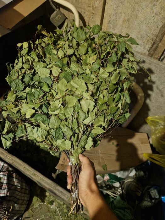 Продам Банные веники