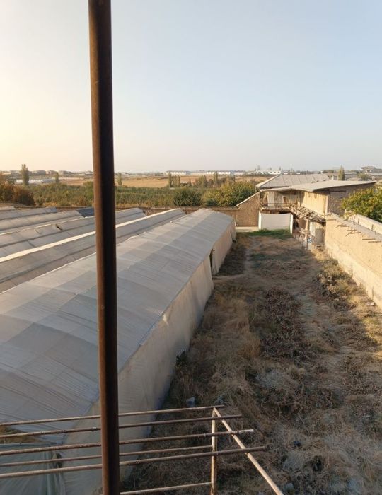 ferma arendaga beriladi