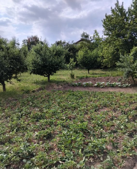 Продава къща в с.Дяково общ.Дупница