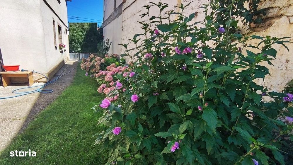 Casă  cu 465 mp teren, 4 camere , P+E, în zona Bulgaria