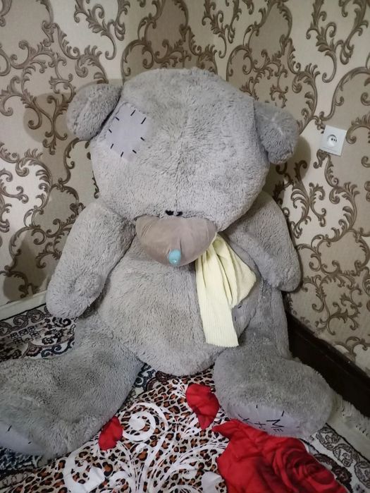 Teddy ayiq . . .