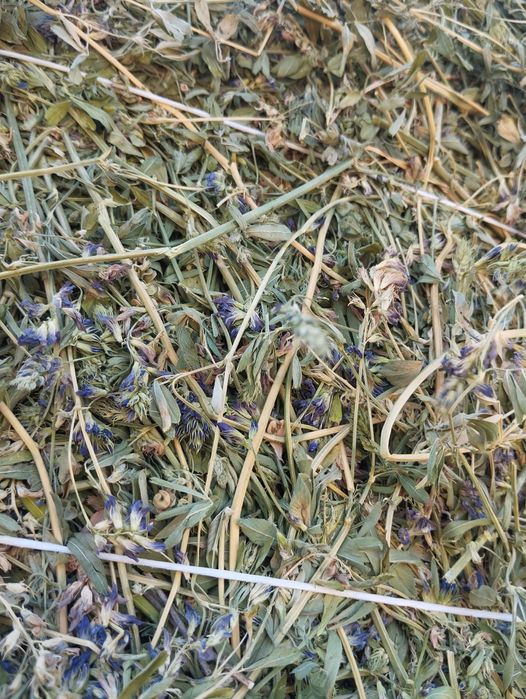 Люцерно сено жонышка