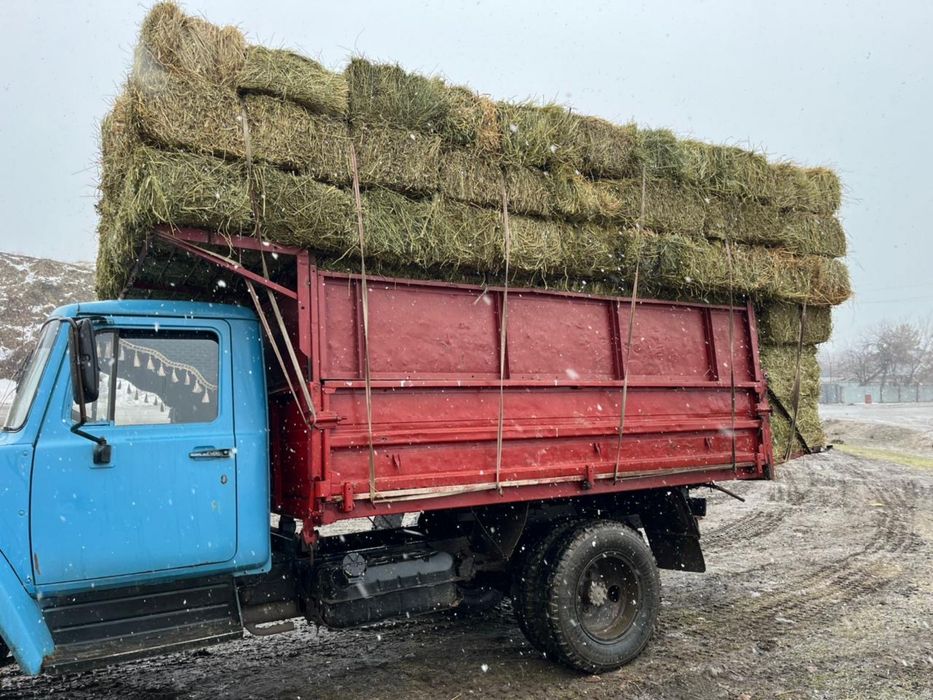 Жонышка люцерна 2000 тенге СРОЧНО