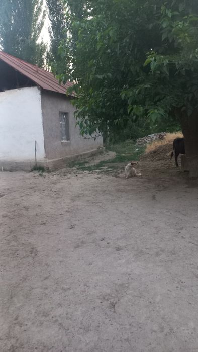 Үи сатылады 16соток