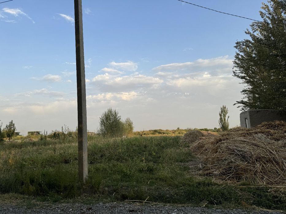 Сирдарьё Сардоба Участок 25 соток