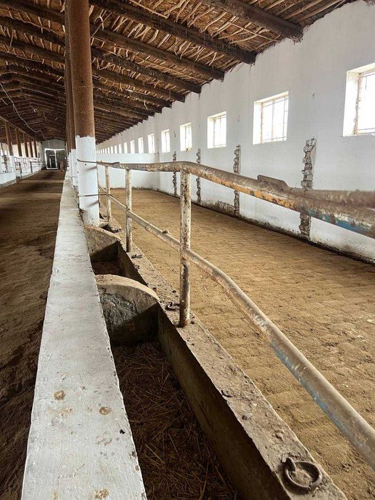 Сифатли қилиб қурилган ферма сотилади. Тулов хохлаган усулда