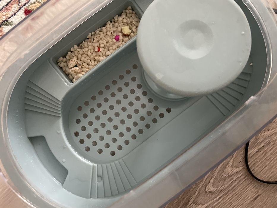 Продется черепахи