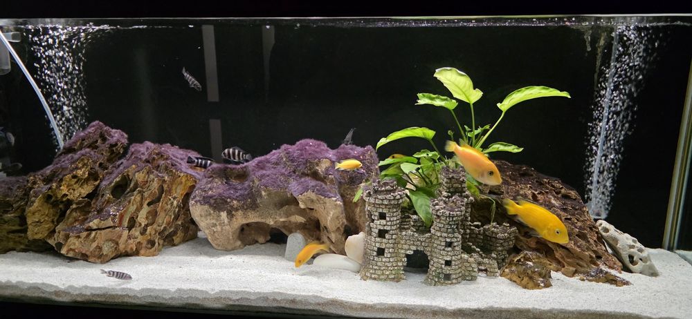 Pompa aer Eheim 400 , acvariu