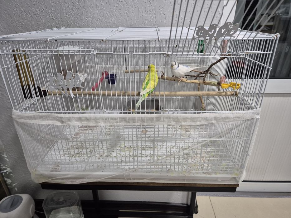 Клетка для птиц со столиком подставкой