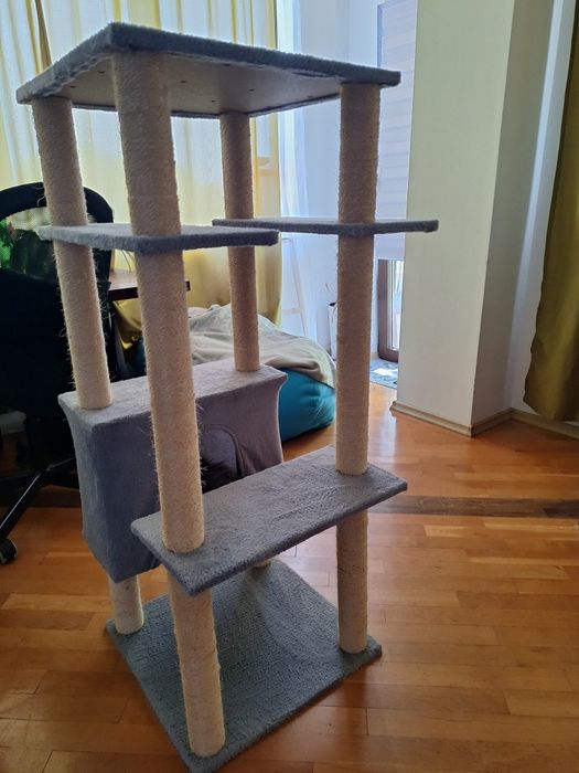 Котешка катерушка