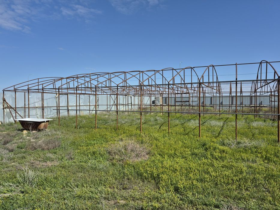Продаю теплицу 50×8.5