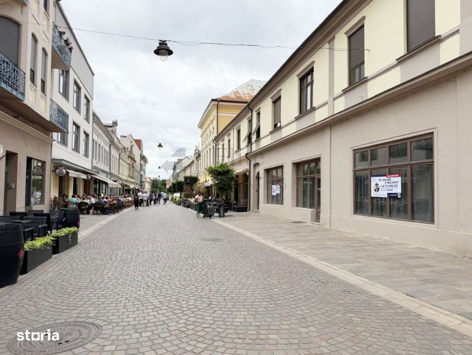 Spatiu Comercial Pietonala Vasile Alecsandri | 200 mp | Vitrina ampla