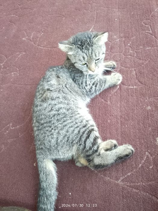 Jessi Jeyn bilan porno suratlar