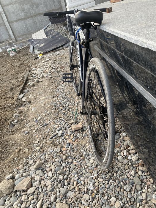 Велик нормальном состоянии