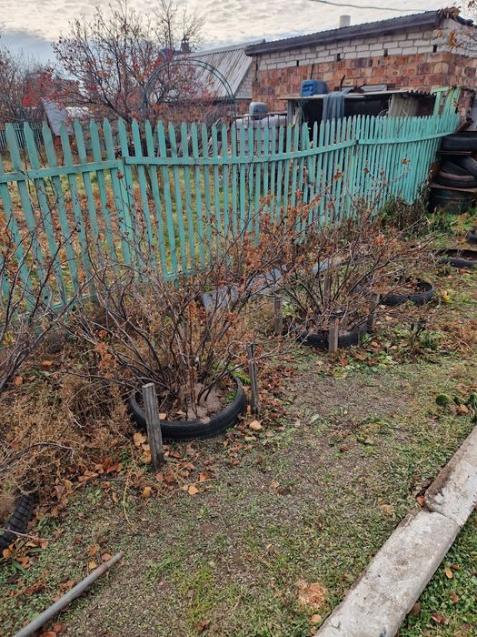 Продам дачу! Садоводство Реченька