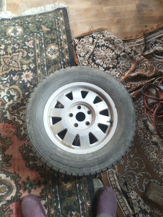 Шыны шыны шыны шыны