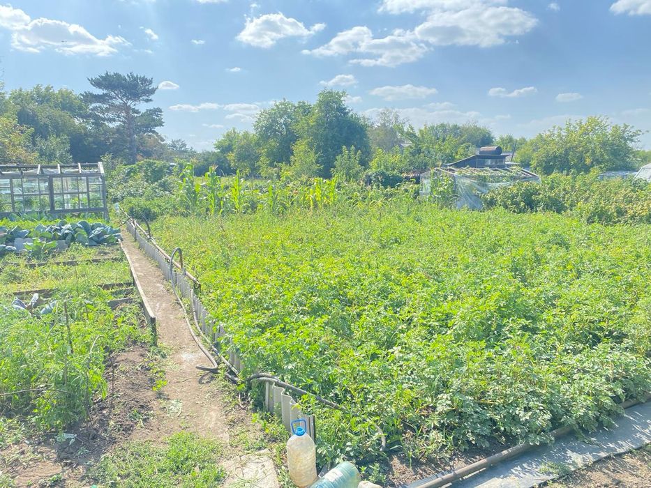 Дача на федоровке