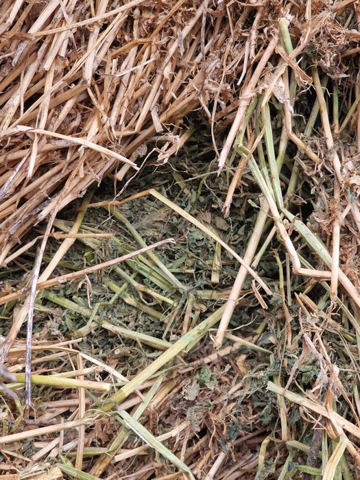 Vand baloate 120x120 si 60x70