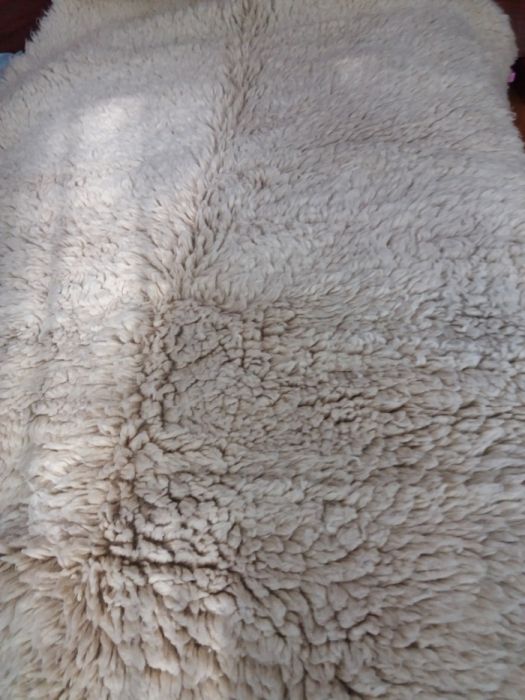 Продавам китеници