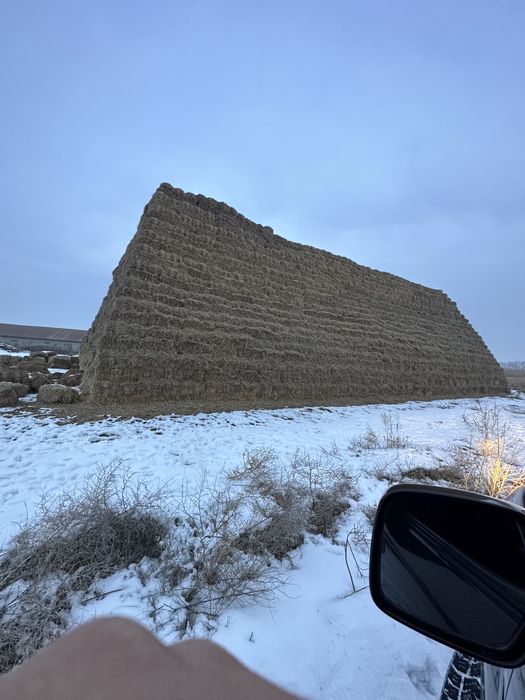 Солома ячменная пшеничная