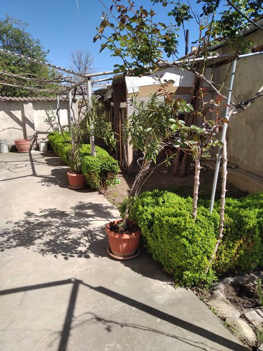 Продава се Къща в Разград, Бели Лом - 390 кв.м за 782 €/кв.м - Снимка #1