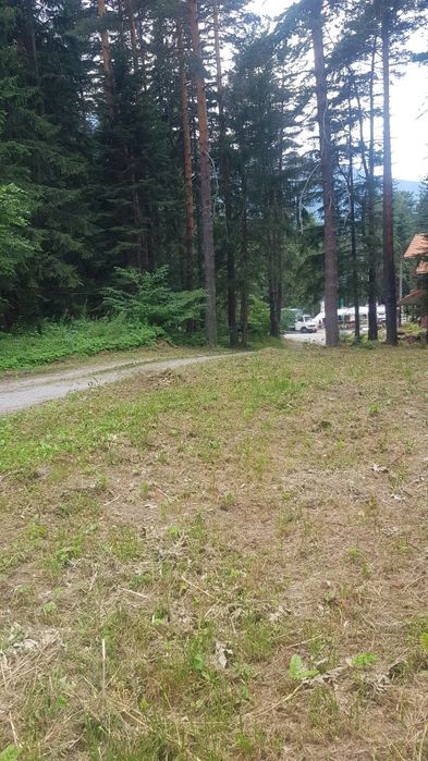 Продава парцел в курорта Паничище