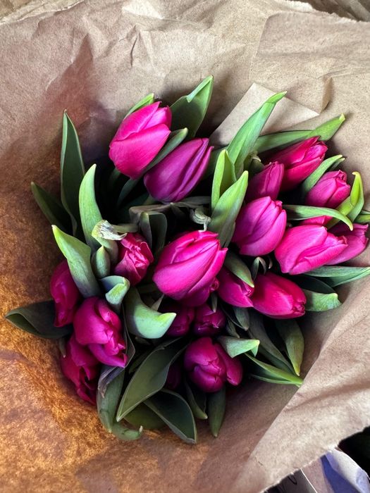 Тюльпаны оптом и в розницу