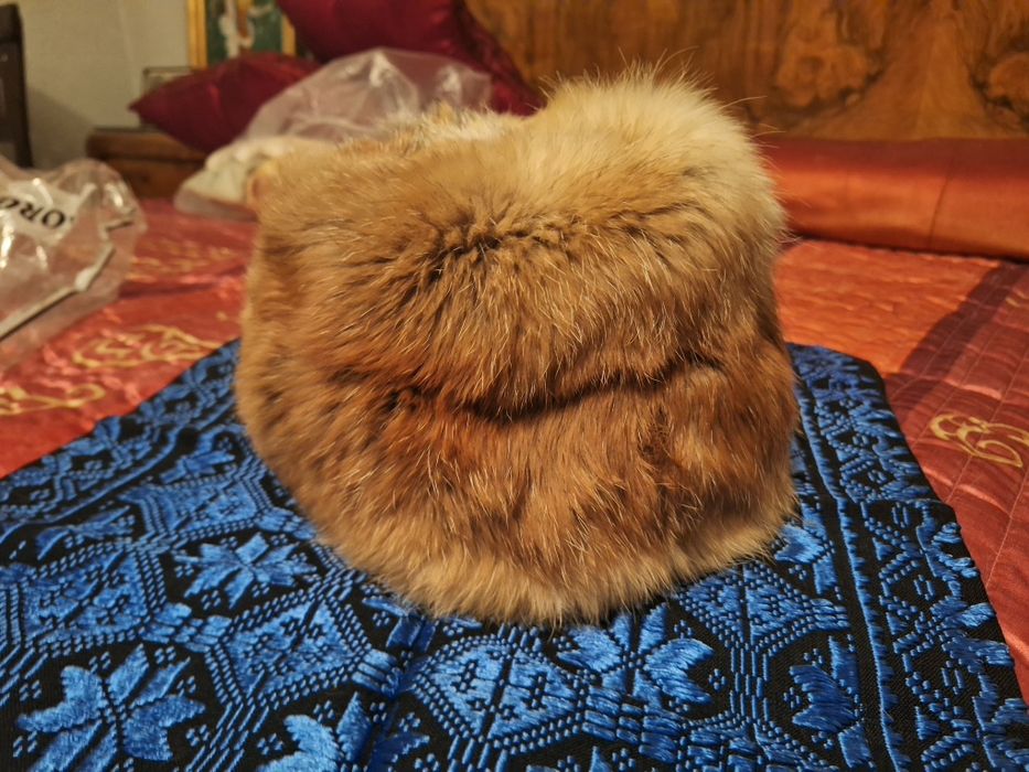 Căciulă de vulpe polara