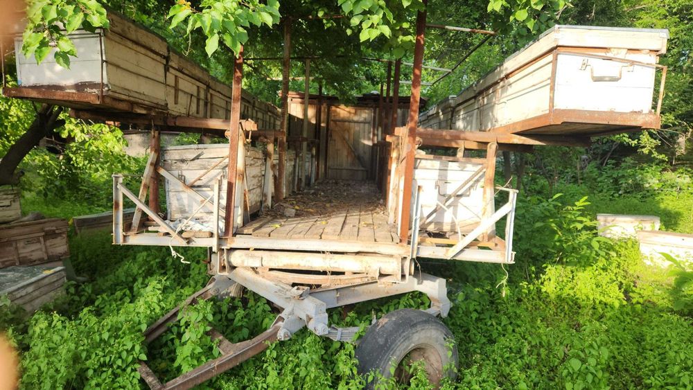 Асалари прицеп (павильон)