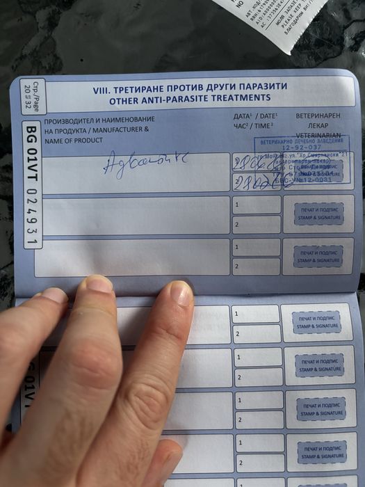 Нера търси своето семейство
