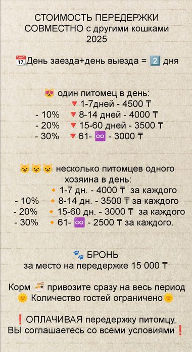 Домашняя передержка для кошек