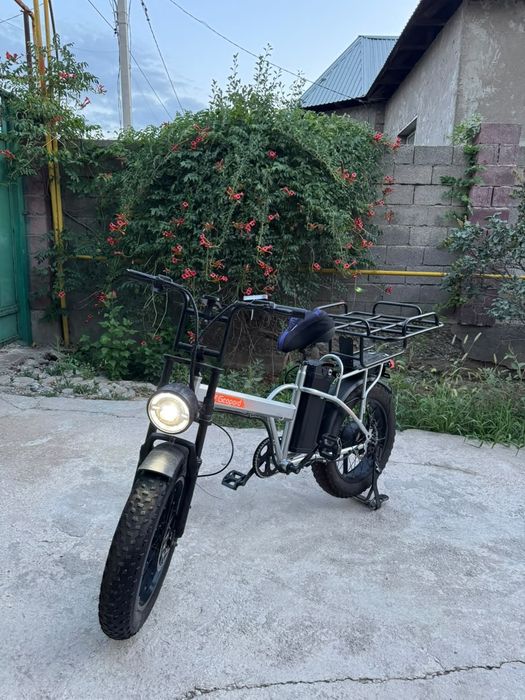 Электровелосипед Geopard