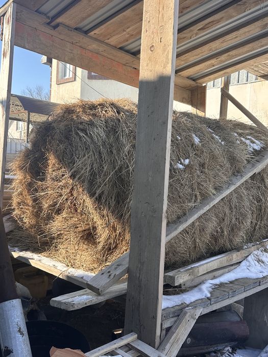 Шөп рулон шоп түк