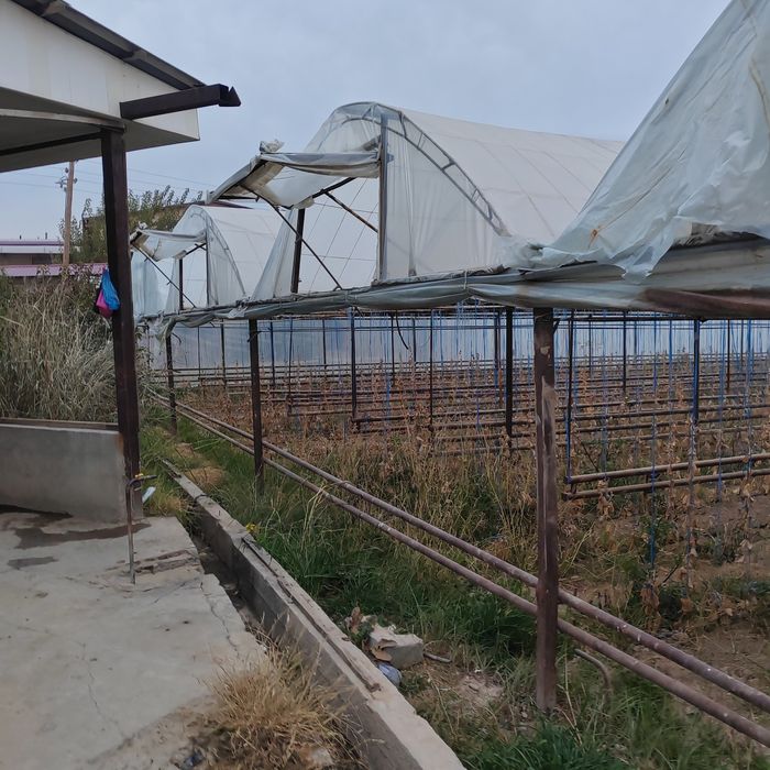 Teplitsa ferma 2.6 gektar nazarbe muzimpix tarafta sotiladi