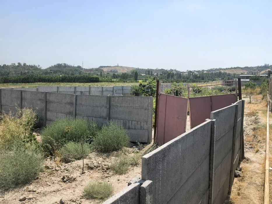 Боғишамол даҳасида Қуруқ ер сотилали