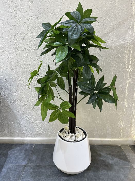 Искусственные растения для интерьера.