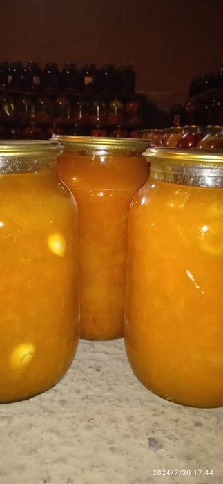 Наш адрес. Сайрам Менделеева 8,