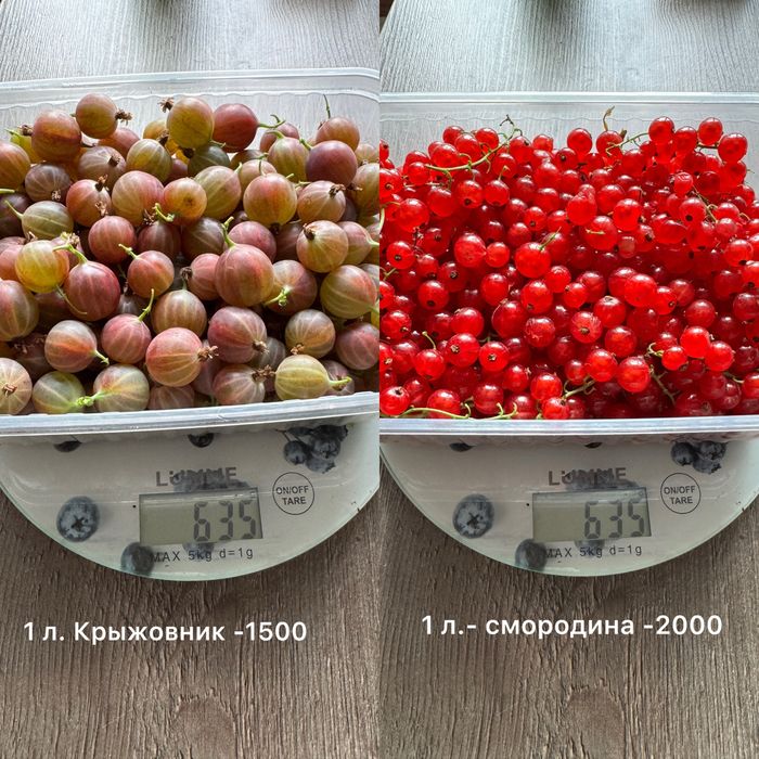 Красная смородина