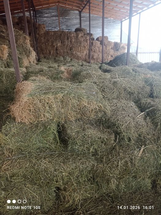Сено люцерно 1.500
