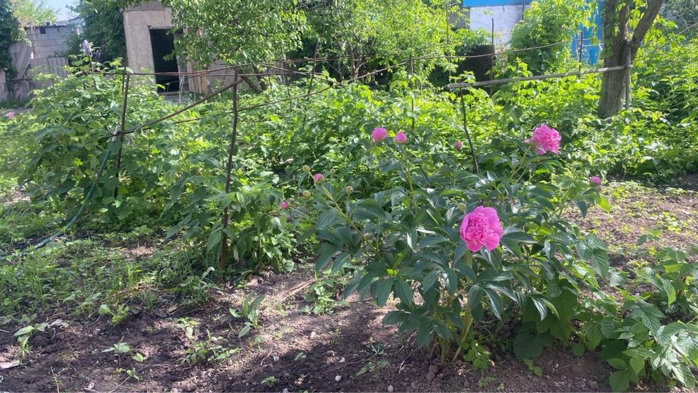 Продается двухэтажный дом