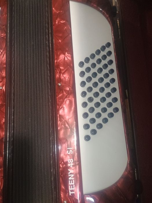 Acordeon Walther Teeny 48 basi