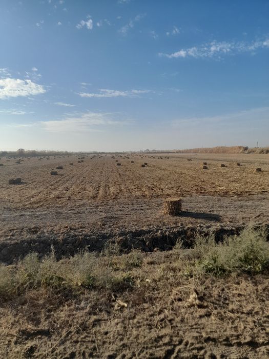 Макка прес сотилади