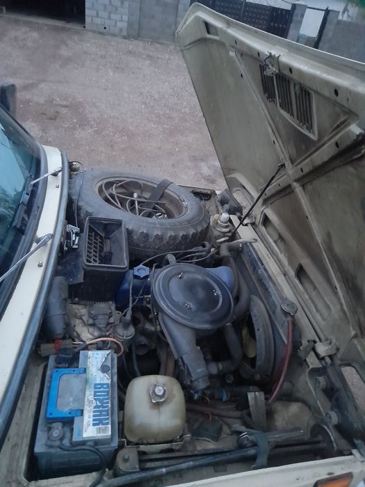 Нива  жагдайы жаксы