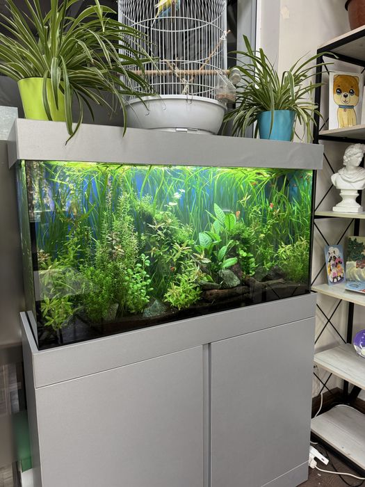 Аквариум на 320 литров
